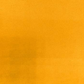 293 MUSTARD