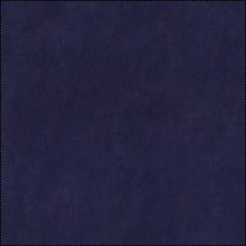 011 NAVY