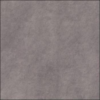 013 PLATINUM