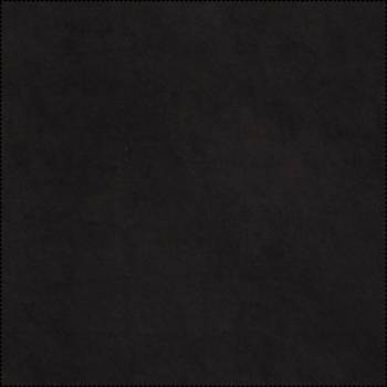 059 BLACKPEARL