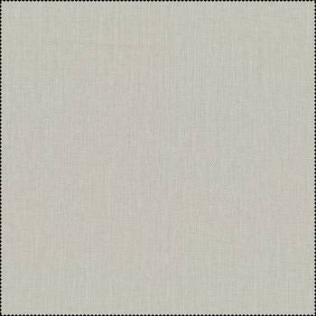 010 SILVER