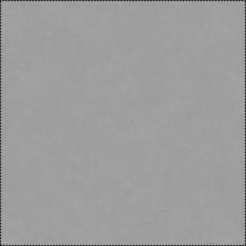 076 SILVER