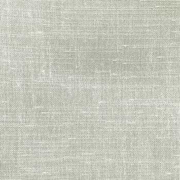 019 IVORY