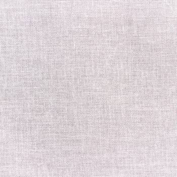 019 IVORY