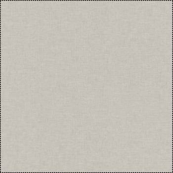 010 SILVER