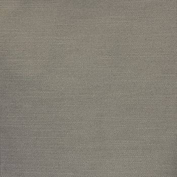 061 SILVER