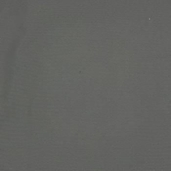061 SILVER