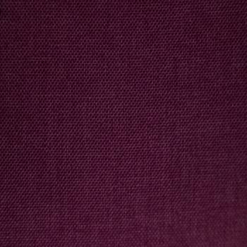 069 FUCHSIA