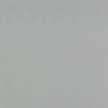 100 WHITE