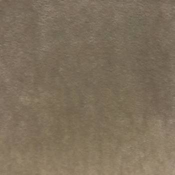 019 IVORY