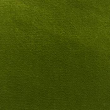 223 KIWI