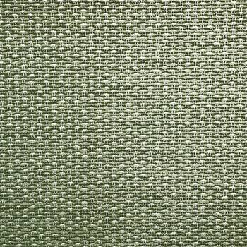 030 OLIVE