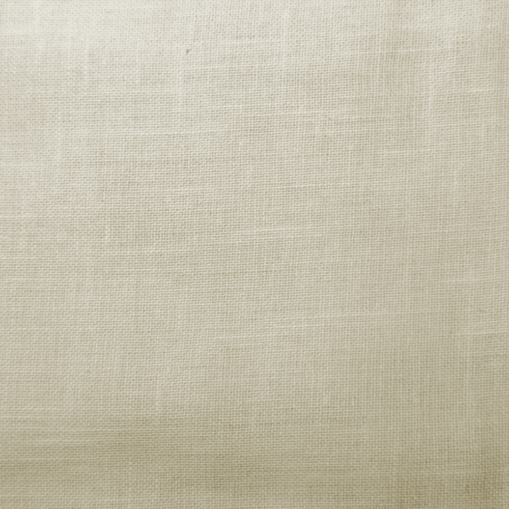 019 IVORY