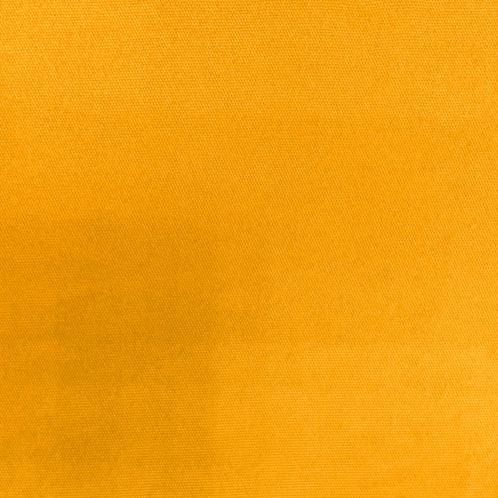 293 MUSTARD