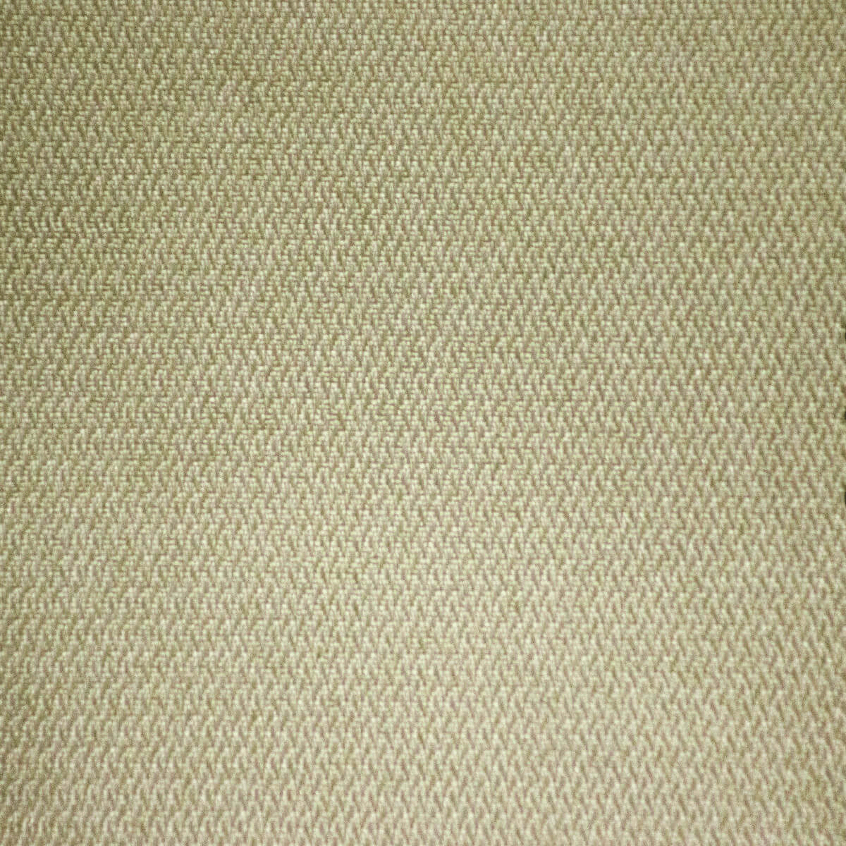 010 CREAM