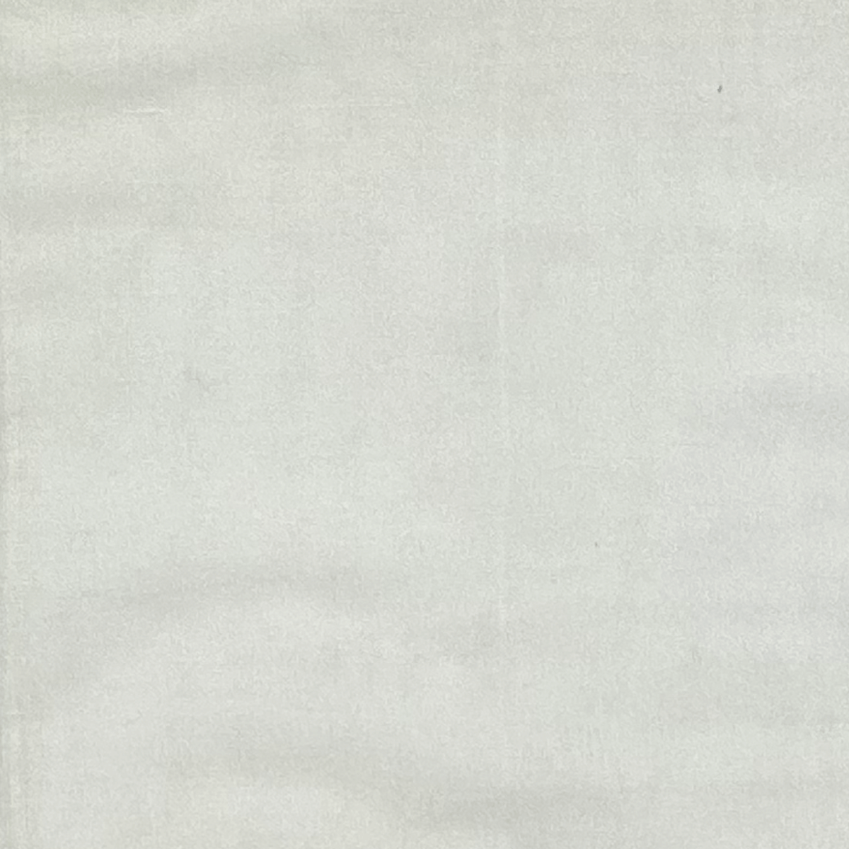 100 WHITE