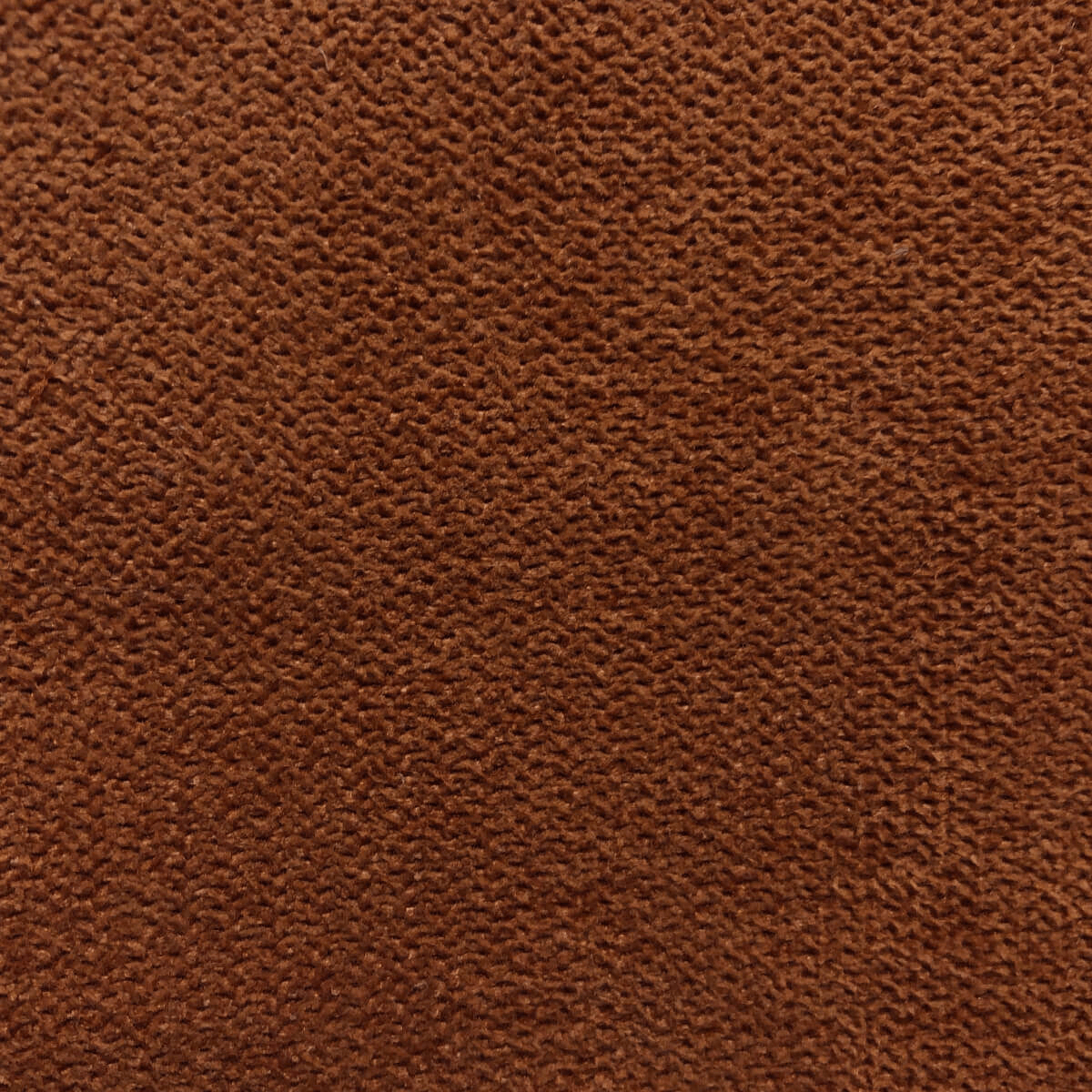 097 PERSIMMON