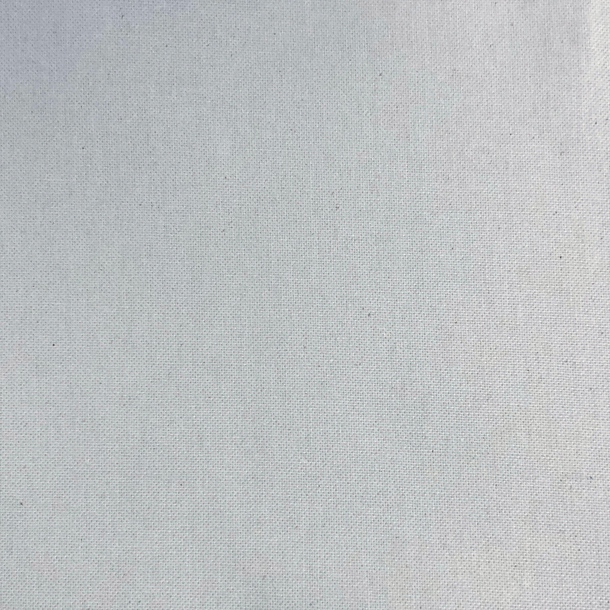 100 WHITE