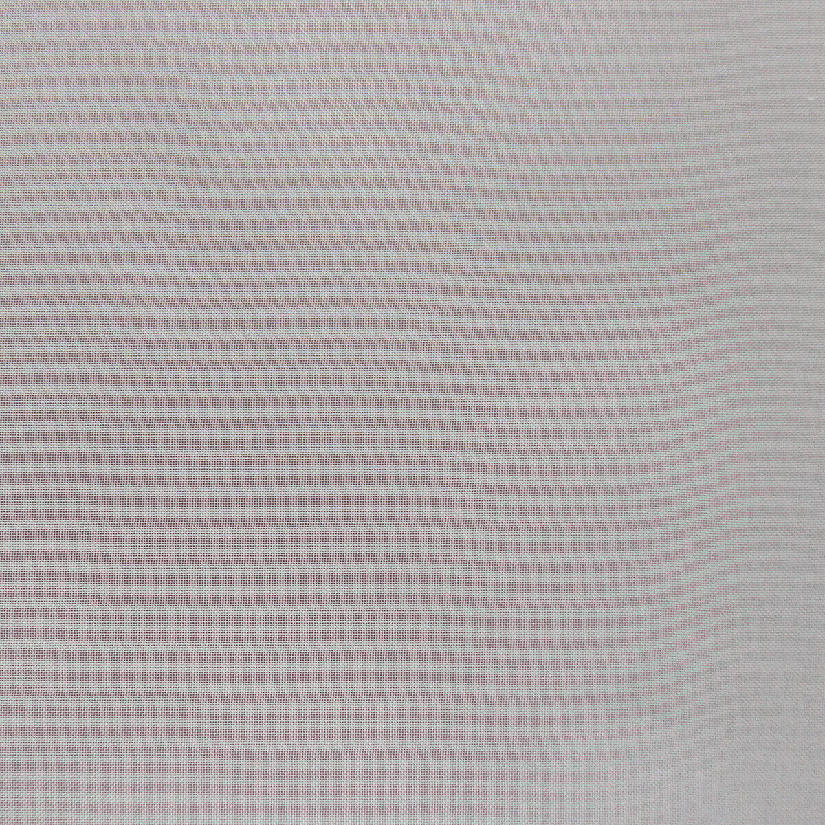 019 IVORY