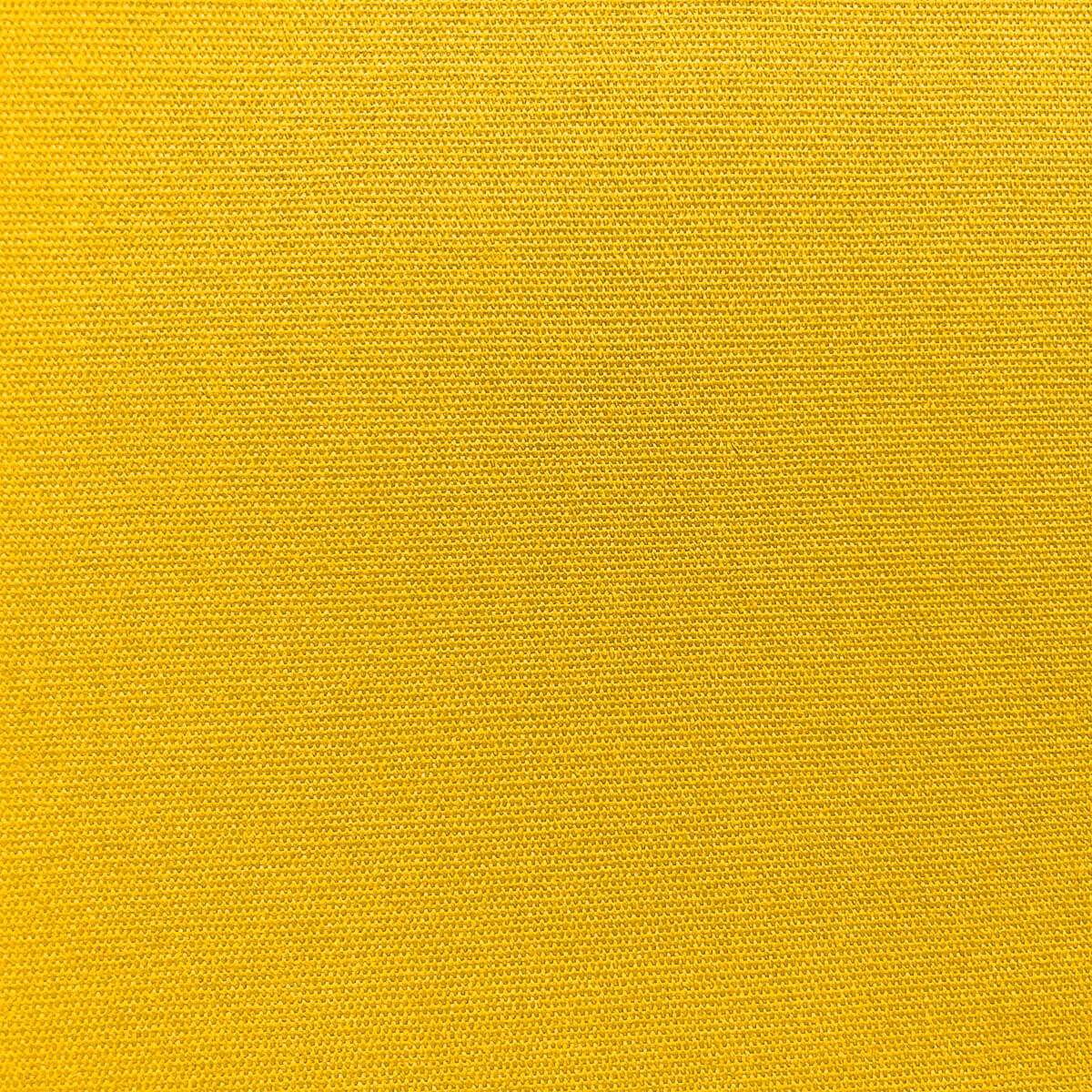 012 MANGO