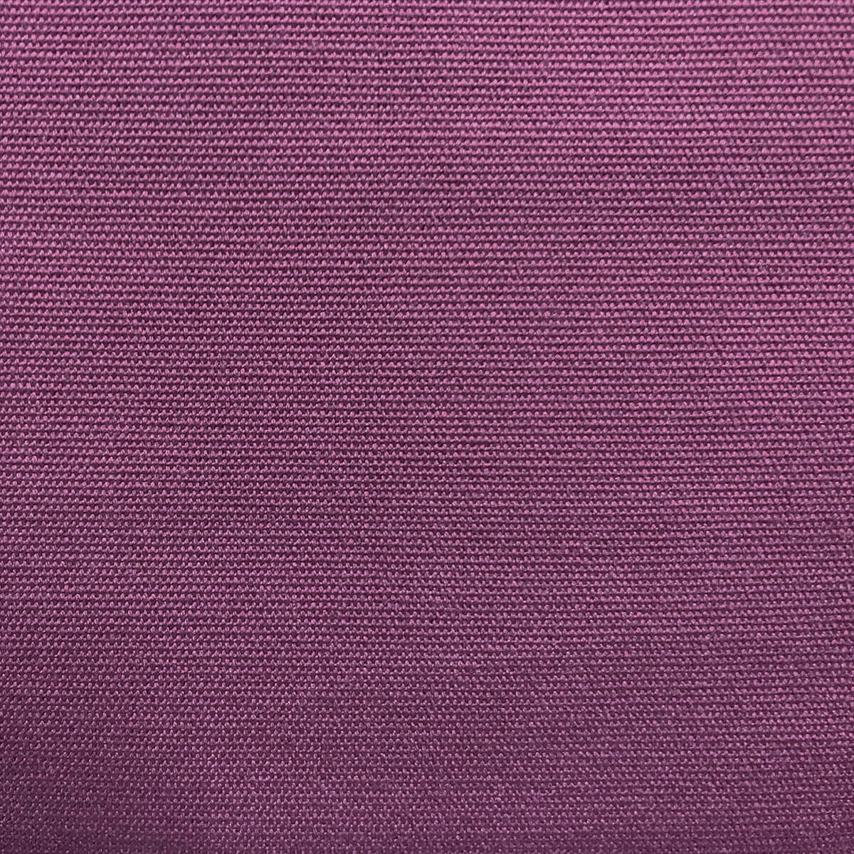 051 LILAC