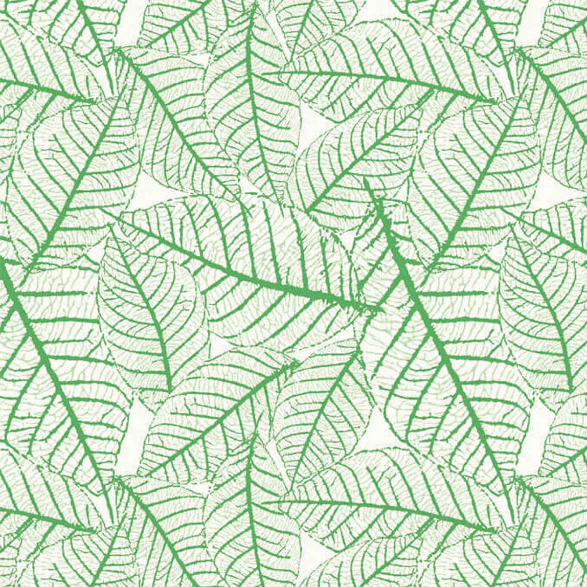 023 LIME