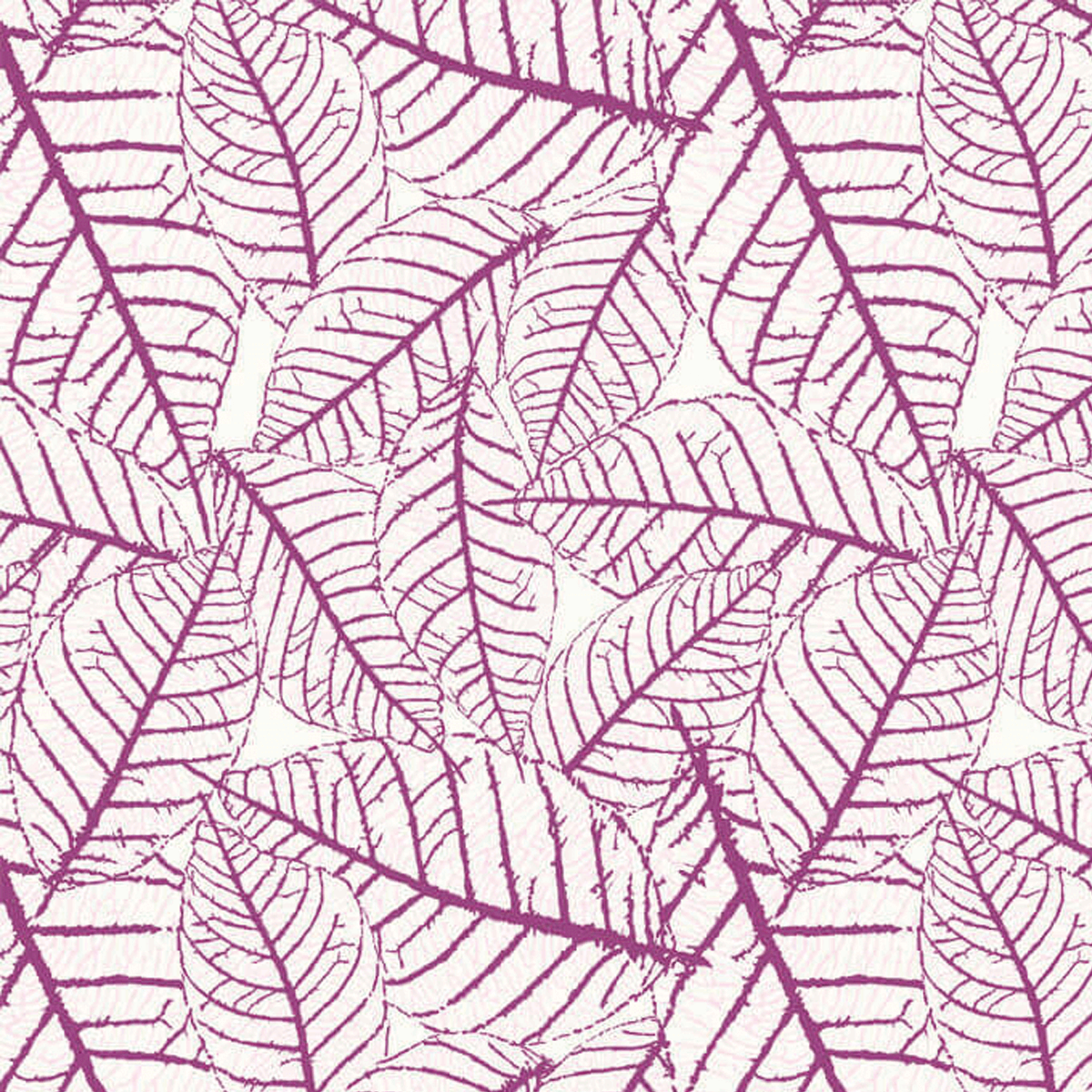 051 LILAC