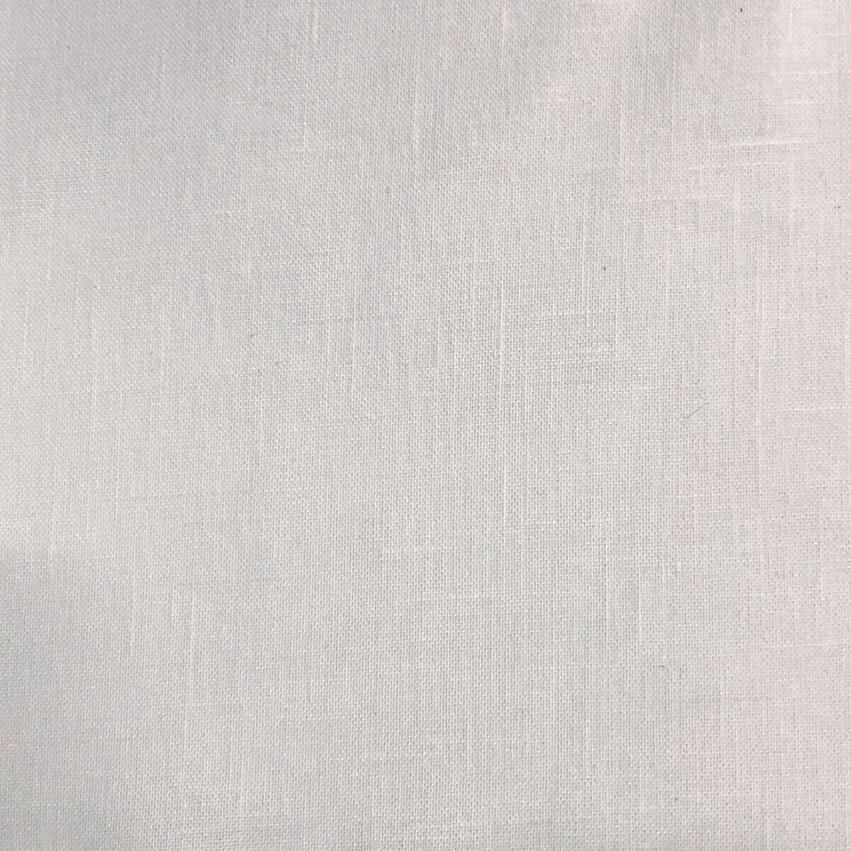 019 IVORY