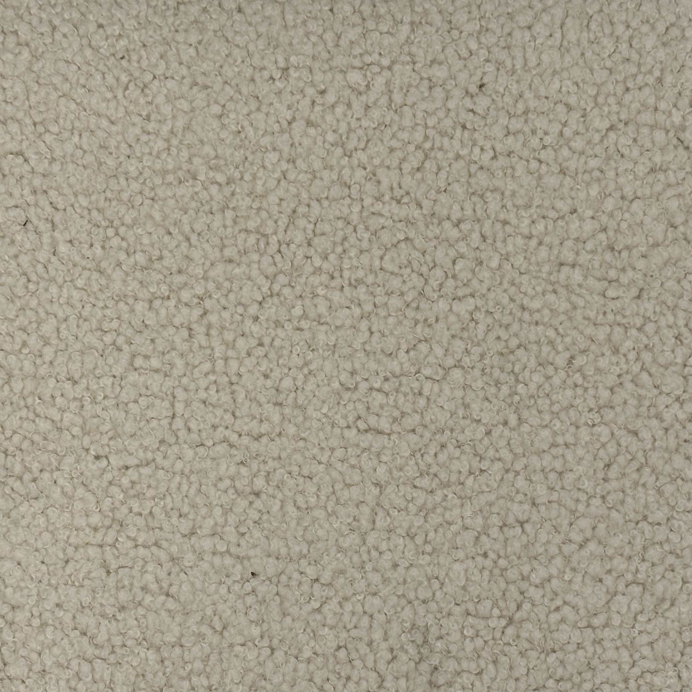 019 IVORY