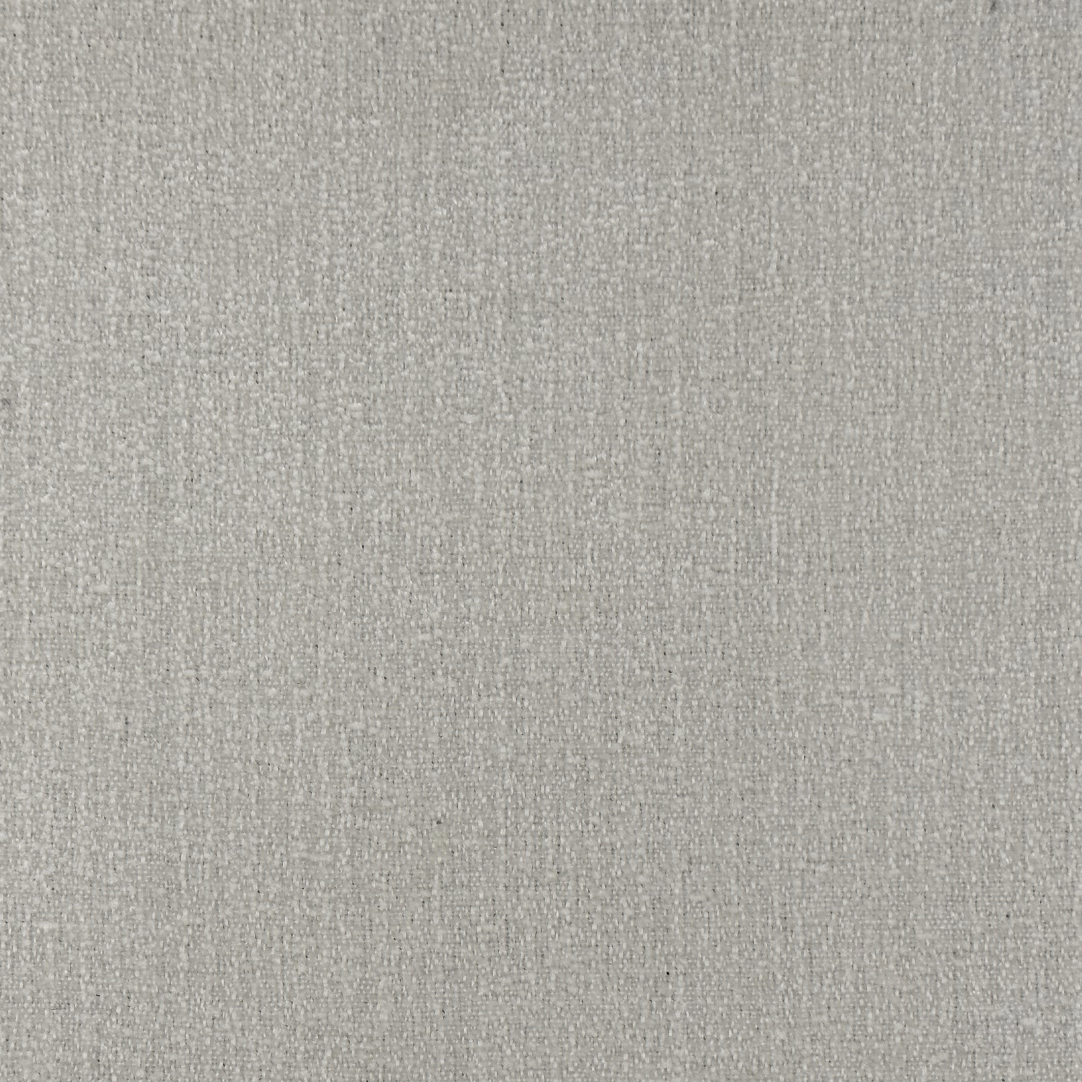 019 IVORY
