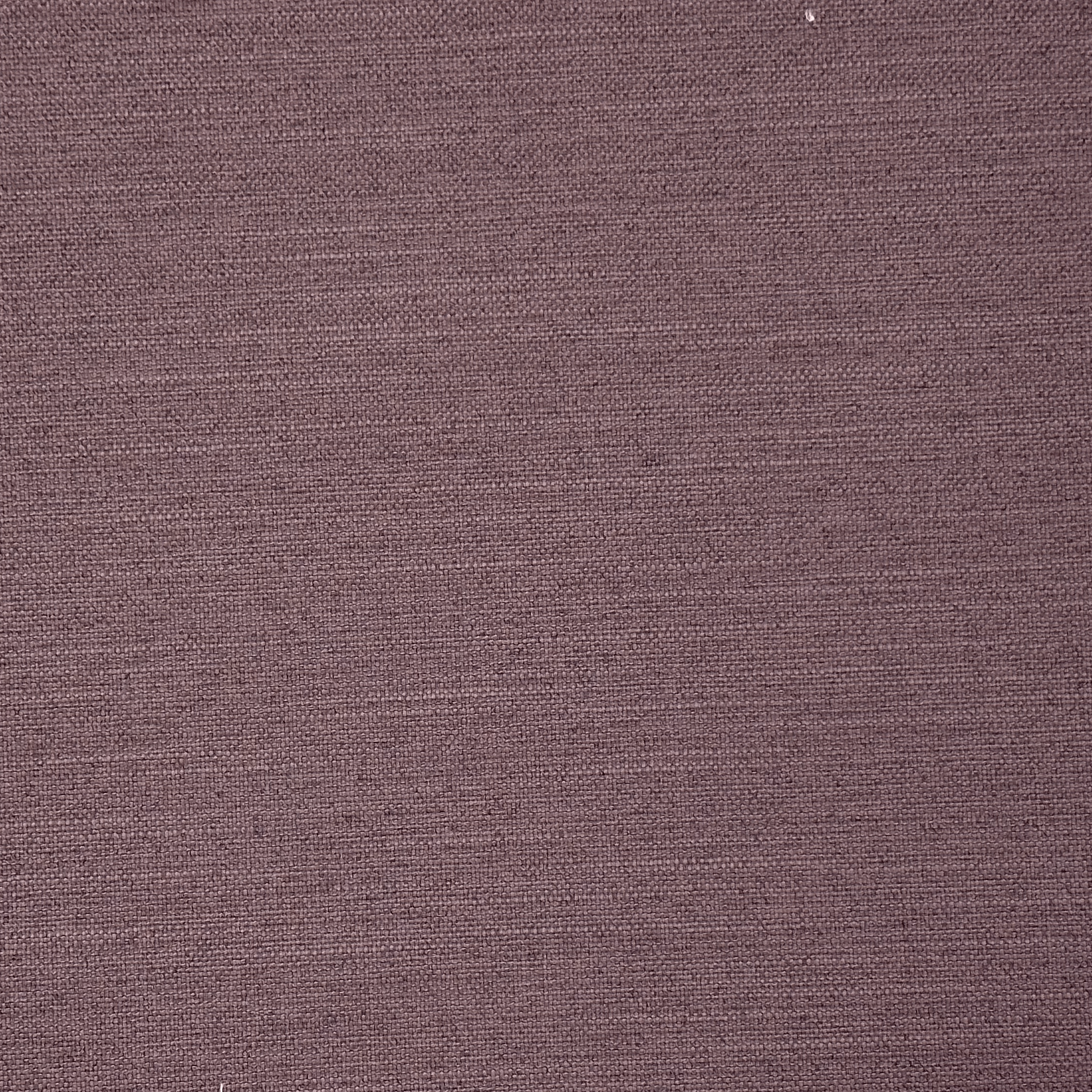 049 LAVENDER