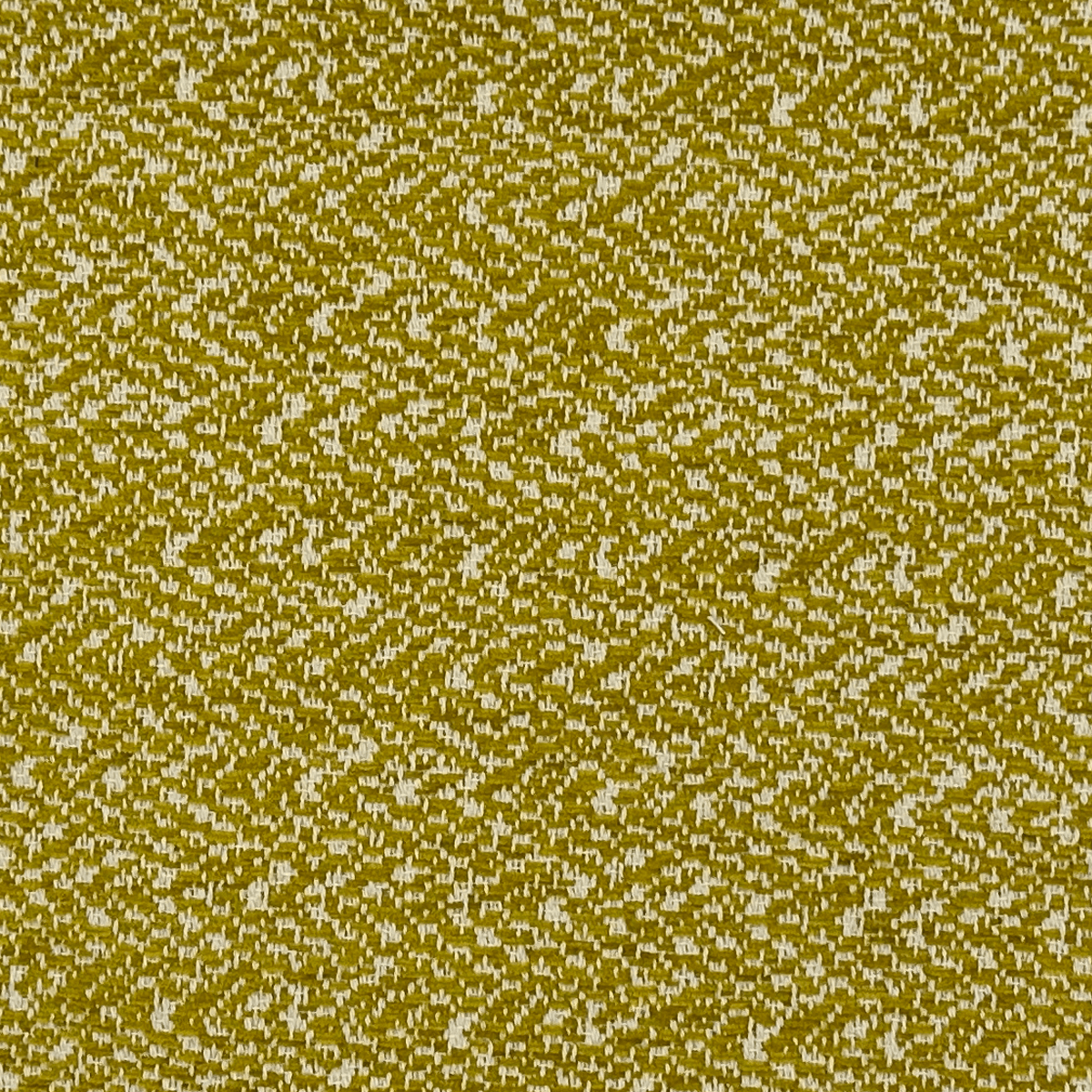 293 MUSTARD