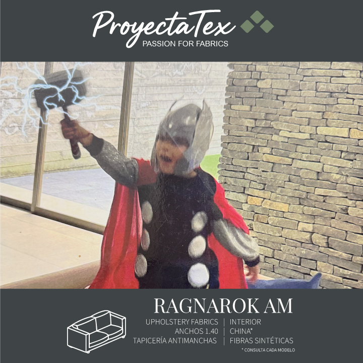 PROYECTATEX - RAGNAROK AM